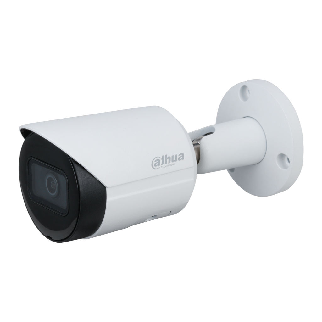 Tubular IP H265 5M WDR Starlight IR30m 3.6mm IP67 PoE MIC AI